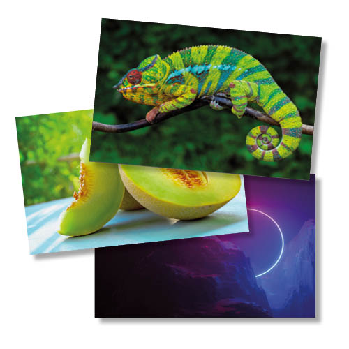 Muster-Kartenset "High Chroma"